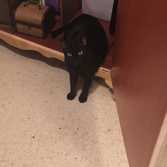 Meet your Posher, Wendie - Picture 3 of 9